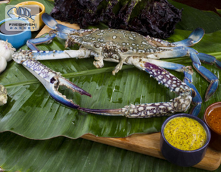 Illustration for article titled Take Advantage of Crab and Lobster Fish Online Home Delivery in Delhi/ncr